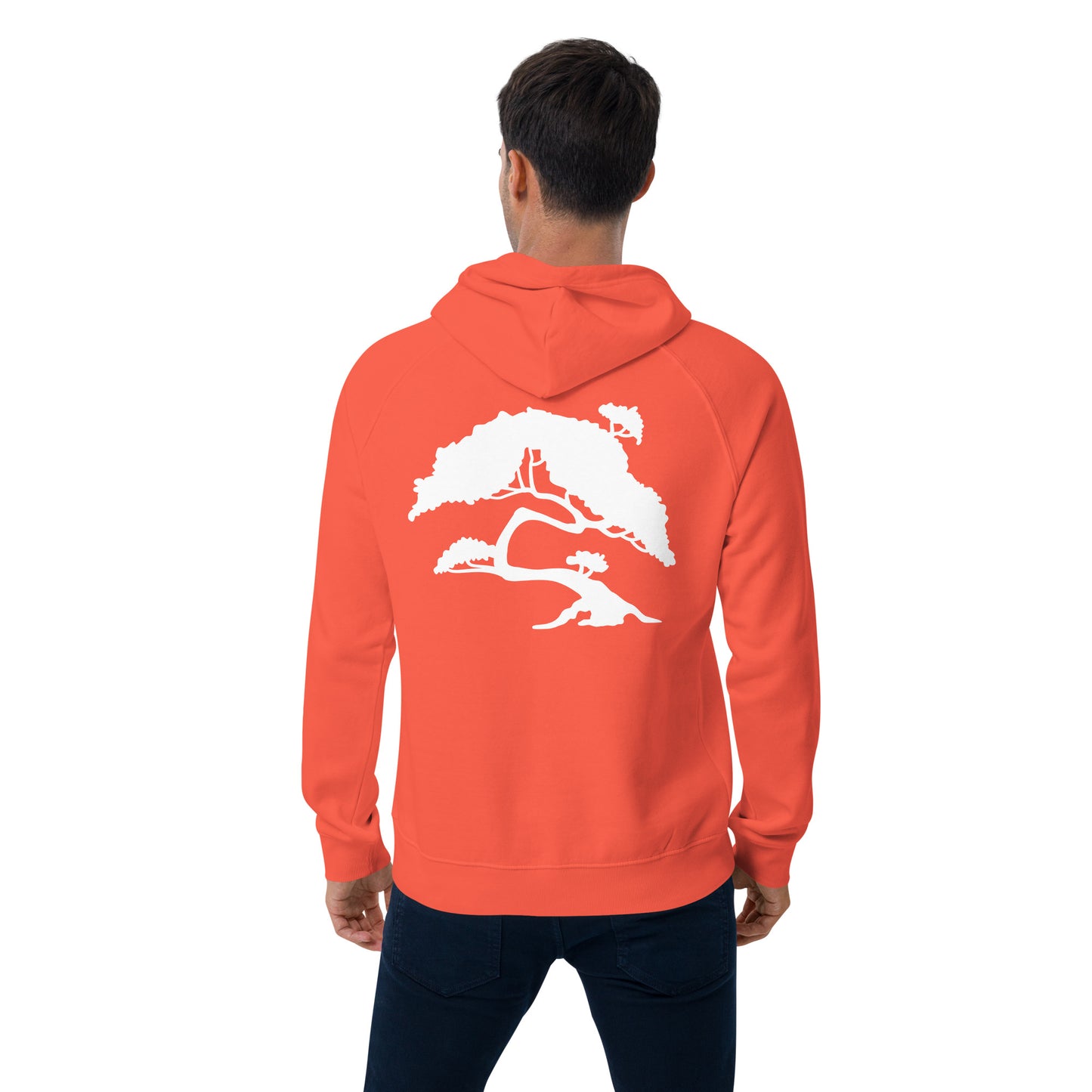 LostChild Unisex eco raglan hoodie